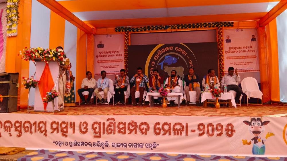 Other Extension Activities