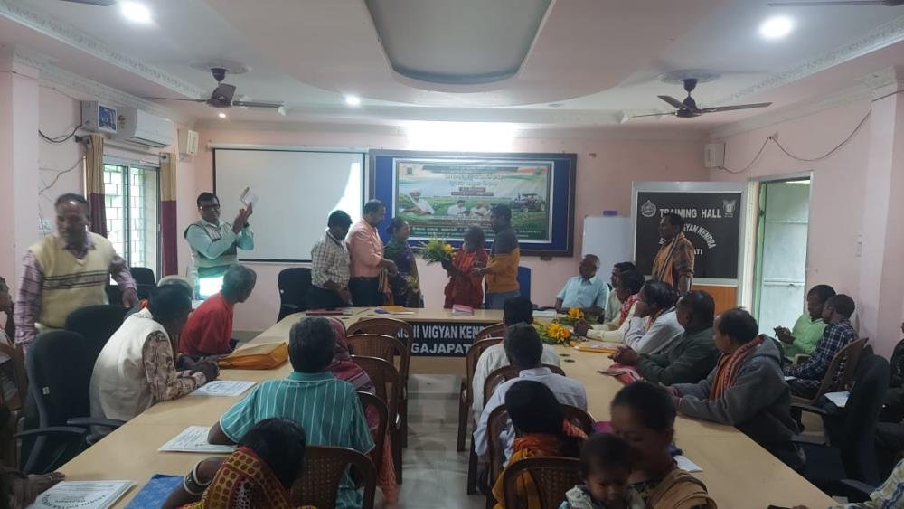 Other Extension Activities