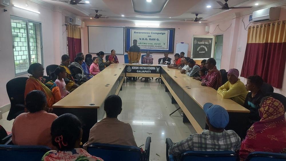 Other Extension Activities