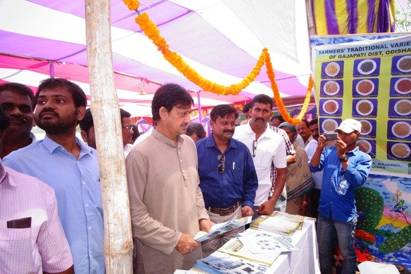 Pradhan Mantri Fasal Bima Yojana