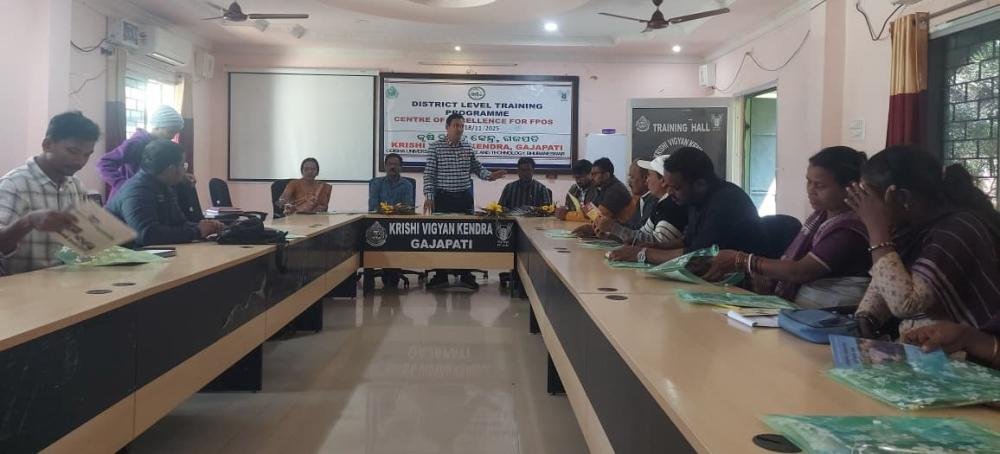 FPO Center of Excellence