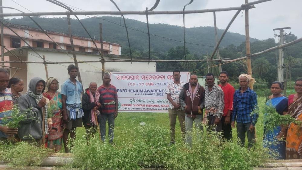 Other Extension Activities