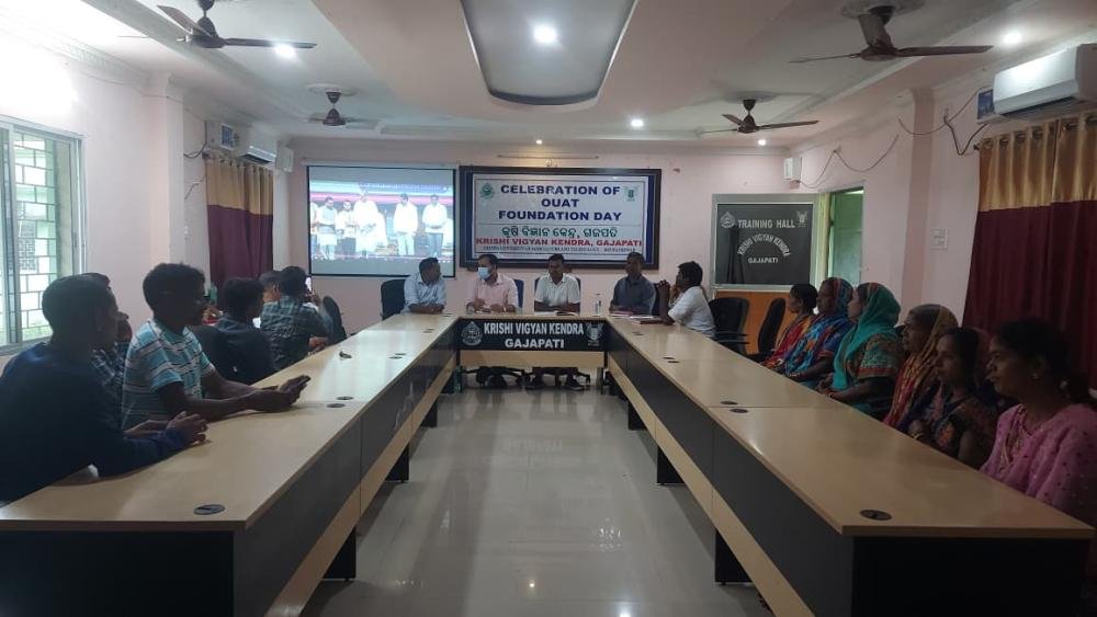 Other Extension Activities