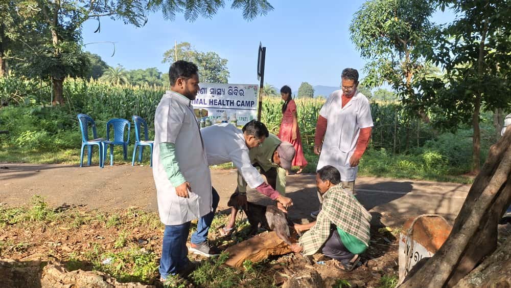 Other Extension Activities